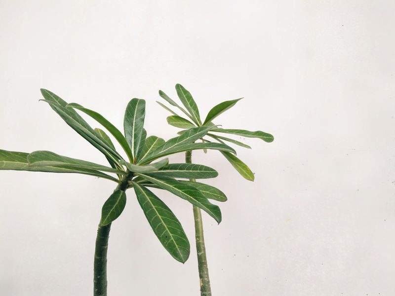 グリーンフィールド株式会社 - Image 4